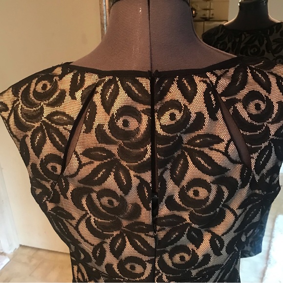 Maggy London size 8 classic Black & Nude Lace Dress. - Picture 3 of 5